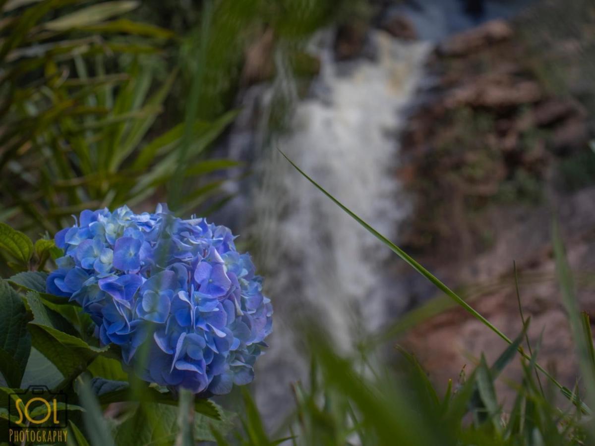 Pousada Aguas Da Mata Brejetuba Bagian luar foto