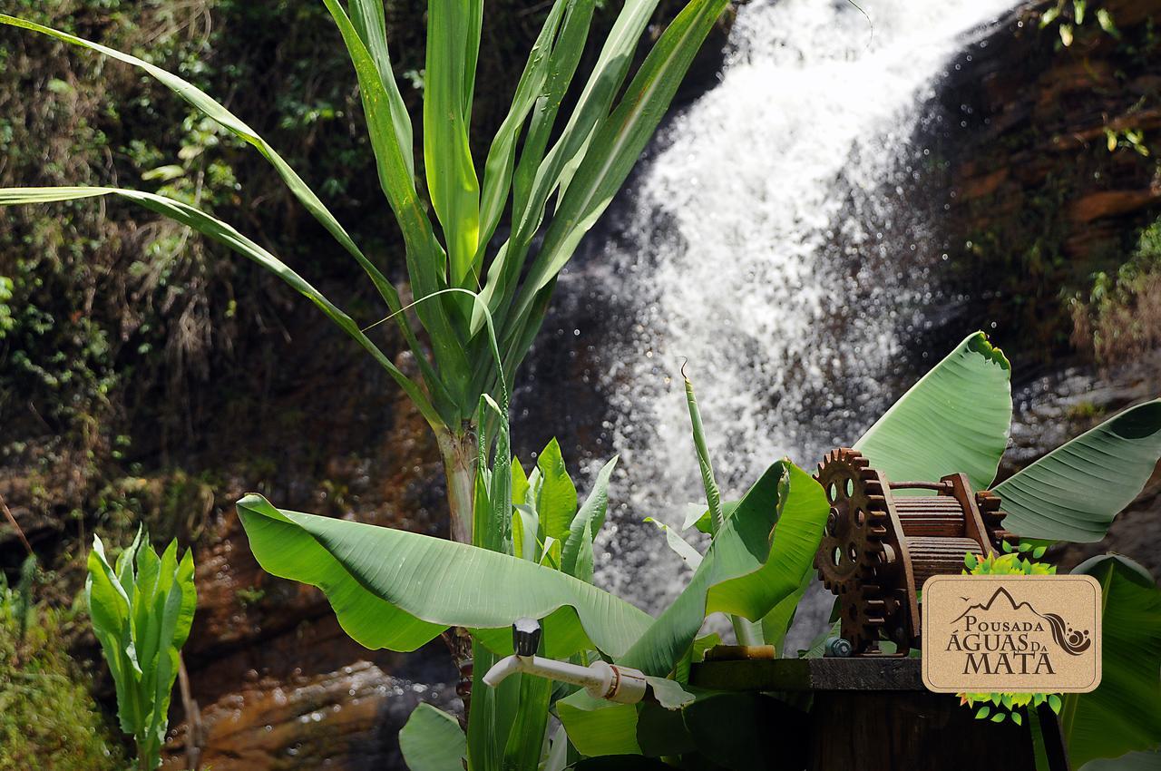 Pousada Aguas Da Mata Brejetuba Bagian luar foto