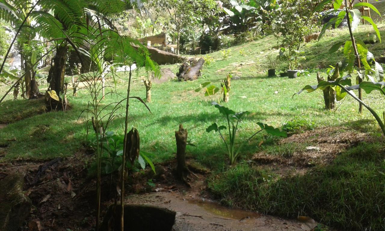 Pousada Aguas Da Mata Brejetuba Bagian luar foto